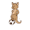 Kangaroo plays football Australia Outback