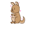 Kangaroo in Love Australia Outback