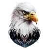 ShirtEagle