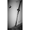 samurai-Schwert