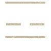 Finanzmanager im Ausbildungsberuf