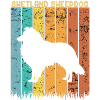 Shetland Sheepdog