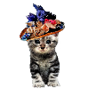 Cat in hats