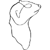 Minimalist meerkat