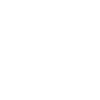 Memento Mori Skull