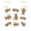 Beekeepers Beekeepers Beekeeping Bees Gift