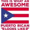 Puerto Rico Flag