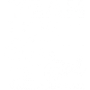 Clay pigeon shooter