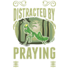 Gottesanbeterin Praying Mantis Fangschrecke