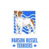Parson Russell Terrier Propriétaire