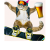 Funny snowboard cat with beer