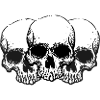 Skulls