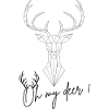 Oh my deer !