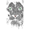 Lyon Face