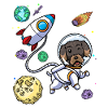 Wire-haired dachshund dog in space