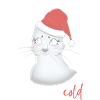 Phoque de noël (girl)