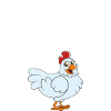 Certified Chicken Expert