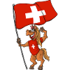 Schweizer Fan Pferd