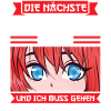 Anime Merch Japanisch Geschenk