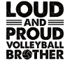 Volleyball serve volleyball player brother