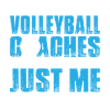 Entraîneur de volleyball