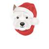 West Highland Terrier Joyeux Noël