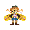 Brevet d’Initiation Aéronautique Femme