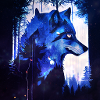 Lone Wolf at night