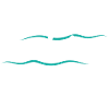 Cruise Cruise Ship