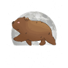 Wombat Moon