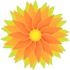 Flower Flower Power
