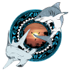 Hammerhead Great White Shark Hawaiian