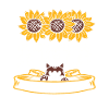 Sunflower Cat