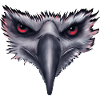Eagle Bird of Prey