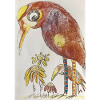 Bunte Vögel