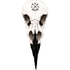Raven Skull con Rune Vegvisir