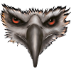 Eagle Eagle Head Gift