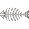 Fish skeleton
