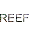 Save the reef