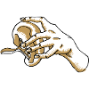 Spleen in hand