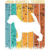 Jack Russell terrier