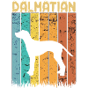 Dalmate