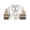 Easily distracted by Labradors