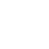 Drone pilot