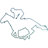 Equitation Concours de saut d’obstacles