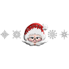 Santa Christmas Portrait, Snowflakes