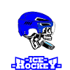 Ice hockey