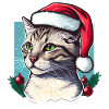 Wunderschöne Katze mit Weihnachtsmannmütze