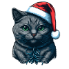 Cute kitten wearing Christmas hat