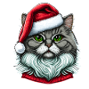 Beautiful cat wearing Christmas hat